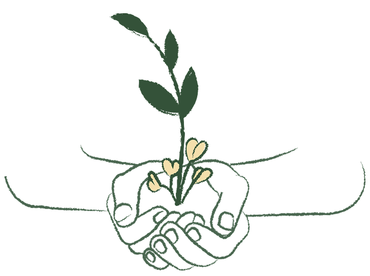 Illustration plante qui pousse dans les mains – Accompagnement confiance et estime de soi à Rennes