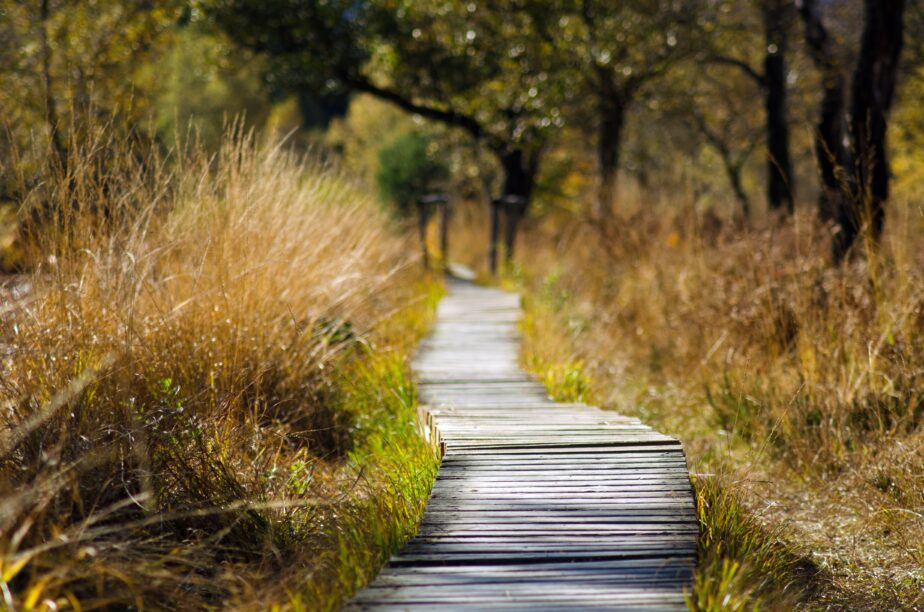 Chemin symbolisant une transition